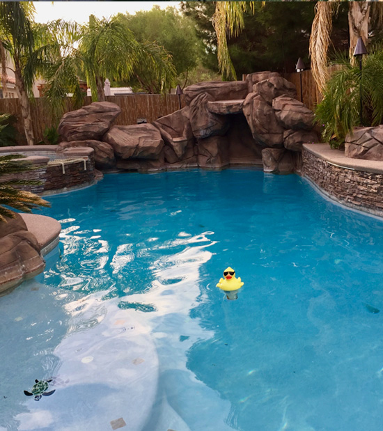 Las Vegas premier pool services.