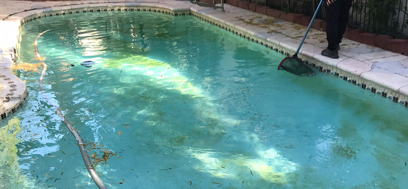 algae treatment in Las Vegas, NV.